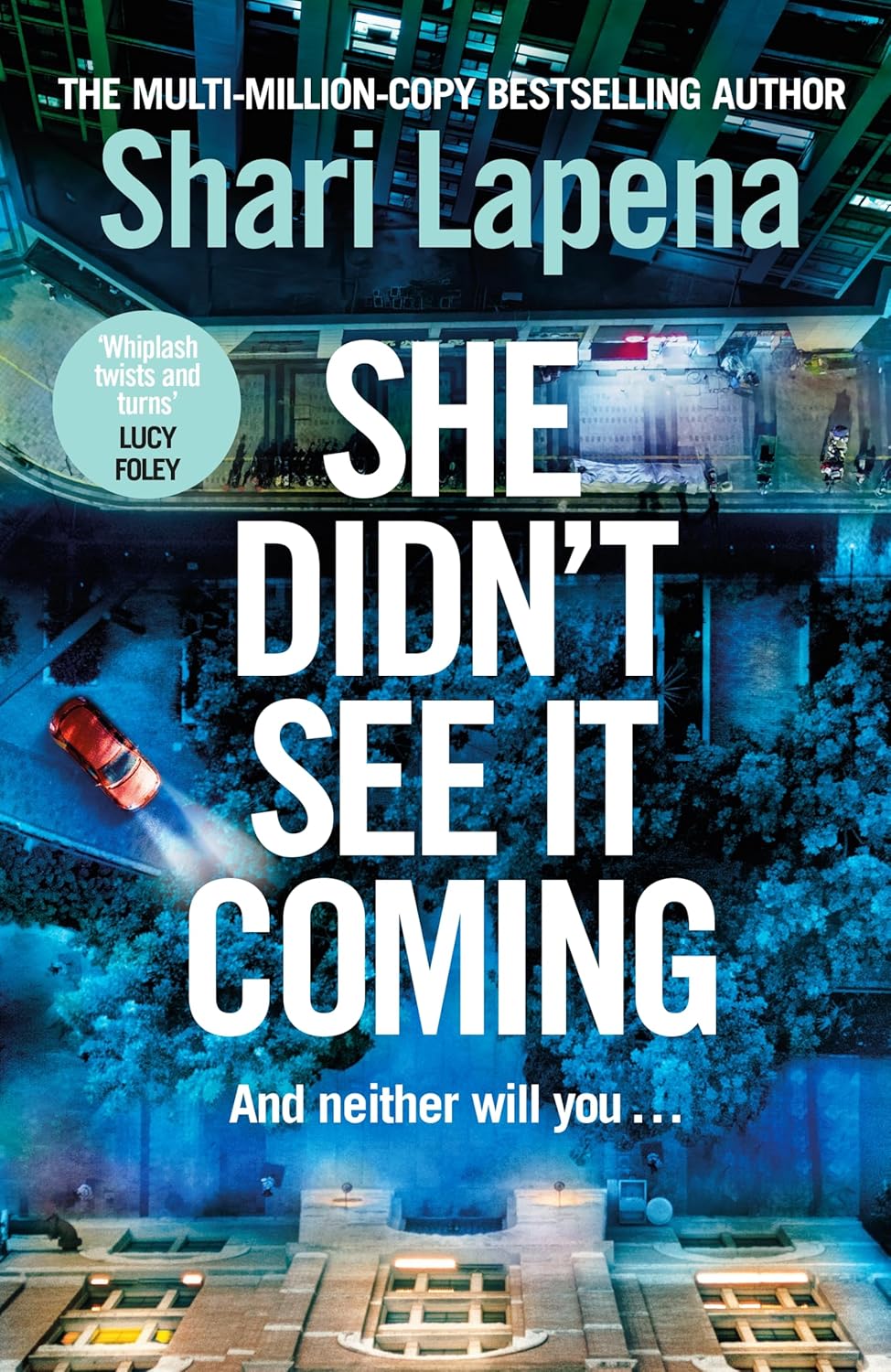 She didnt see it coming Book cover of She Didn't See it Coming by Shari Lapena