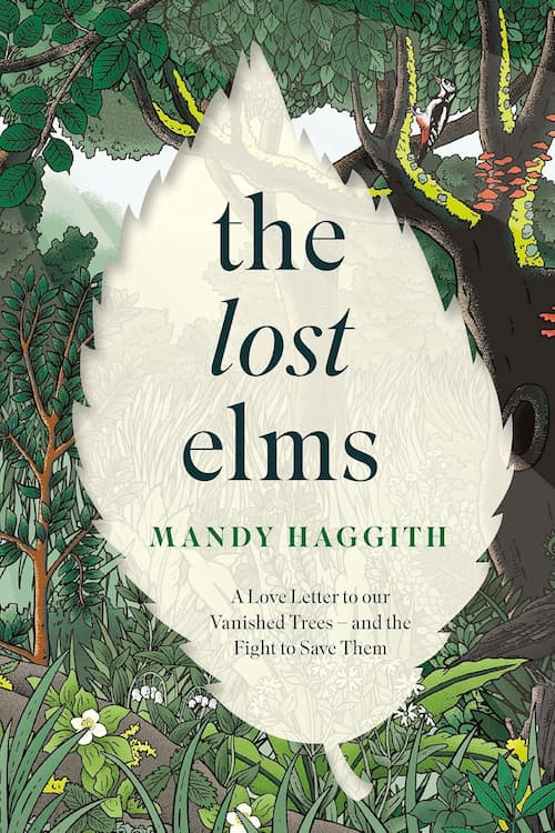 Book cover of The Lost Elms: A Love Letter to Our Vanished Trees – and the Fight to Save Them by Mandy Haggith