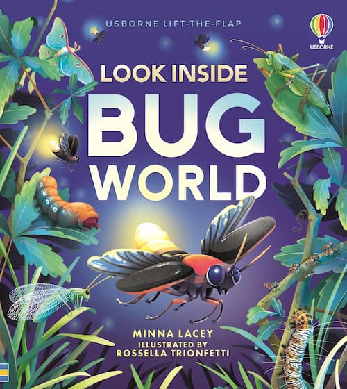 Bug world Book cover of Bug World