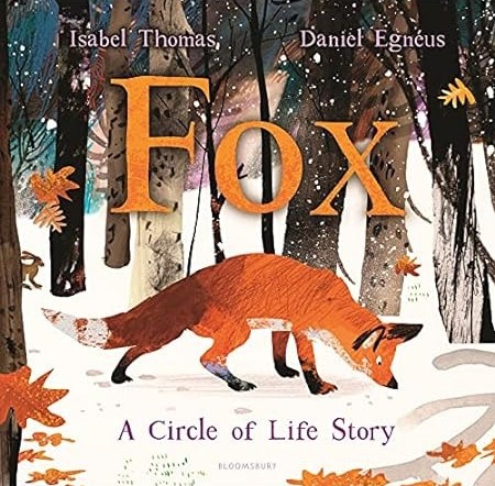 Book cover of Fox a Circle of Life Story