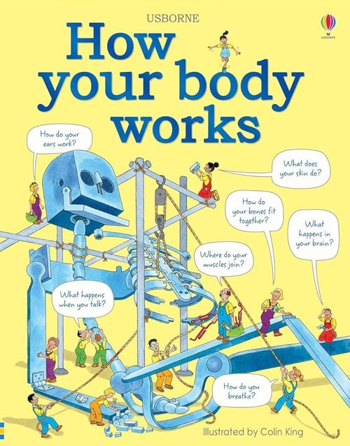 Book cover of How Your Body Works