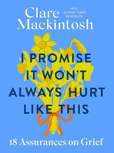 Book cover of I Promise it Won't Always Hurt Like This