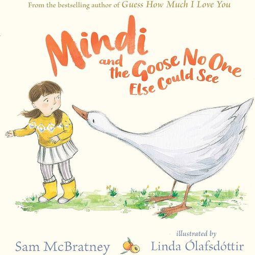 Capa do livro Mindi e o Ganso que Ninguém Mais Podia Ver