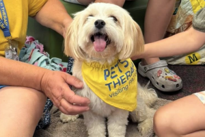 Pets As Therapy Reading Activity at Oulton Broad