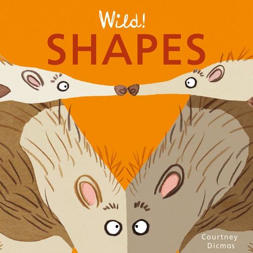 Book cover of Shapes