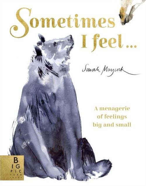 Sometimes I Feel Book cover of Sometimes I Feel