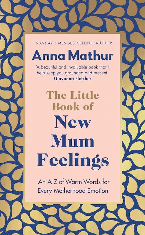 The little book of new mum feelings Book cover of The Little Book of New Mum Feelings