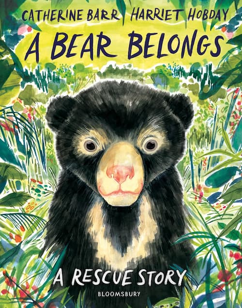 Book cover of A Bear Belongs