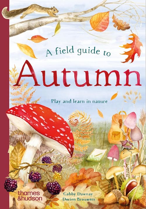 Book cover of A Field Guide to Autumn