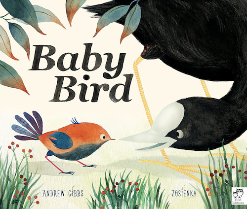 Book cover of Baby Bird