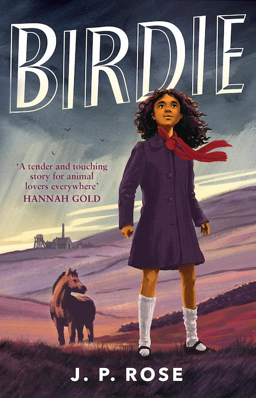 Book cover of Birdie
