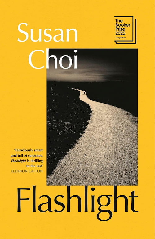 Book cover of Flashlight