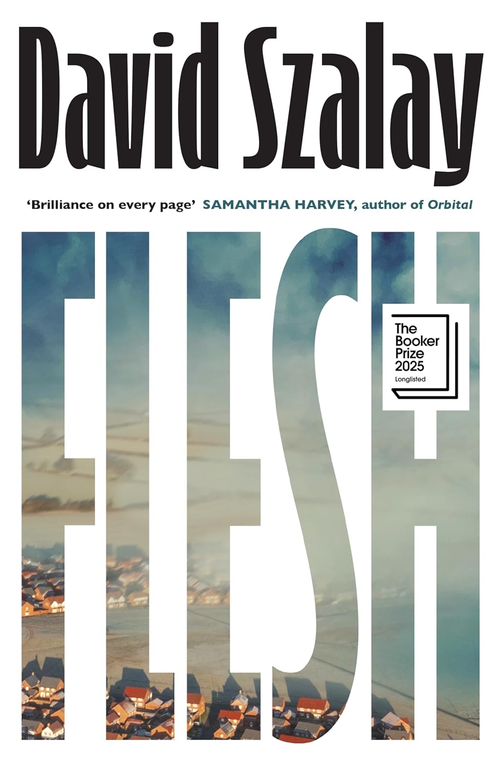 Book cover of Flesh
