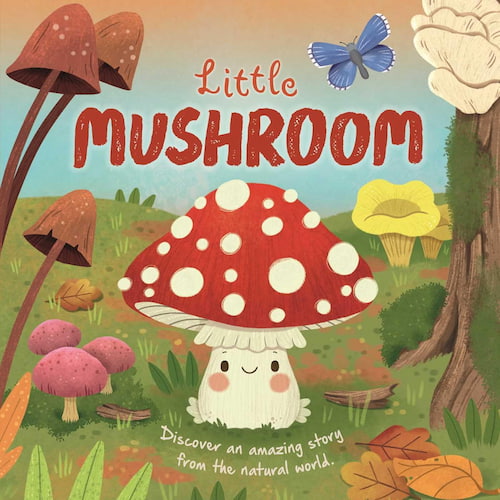 Book cover of Little Mushroom