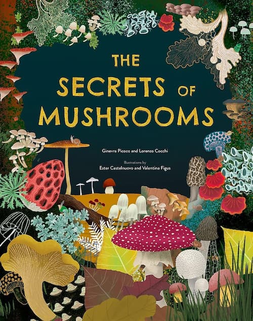 Book cover of The Secrets of Mushrooms