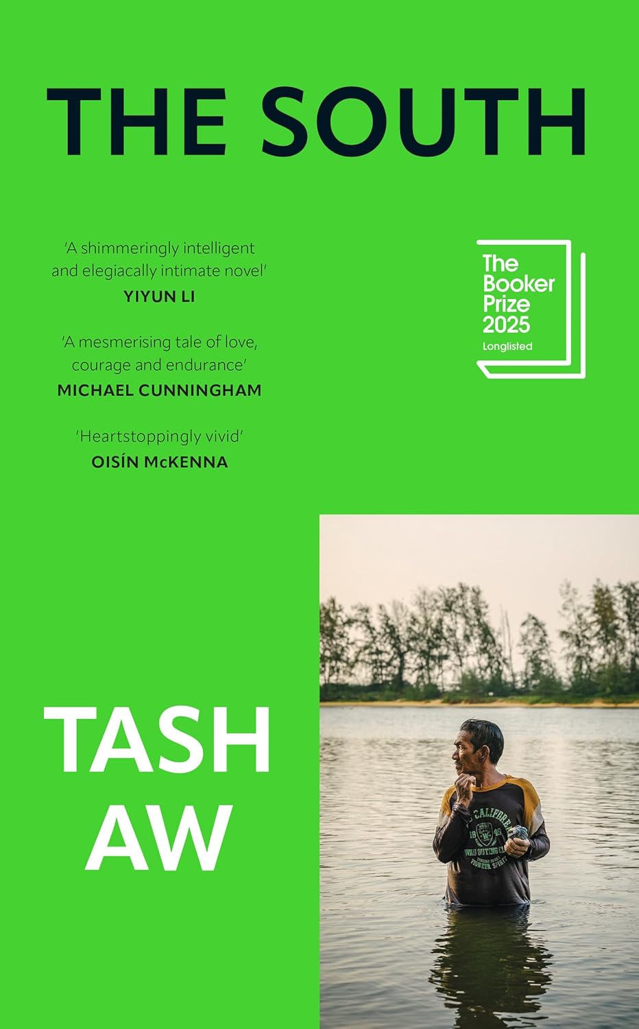 Book cover of The South
