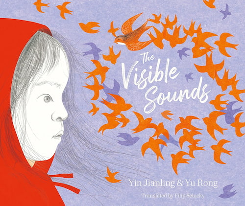 Book cover of The Visible Sounds