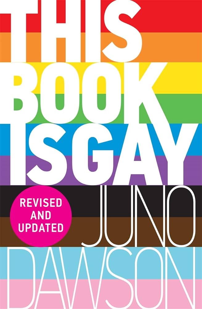Book cover of This Book is Gay