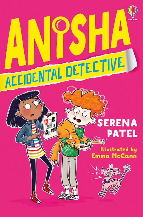 Book cover of Anisha Accidental Detective
