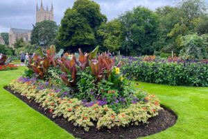 Bury in Bloom: Preparing for a National Competition with Chris Wiley