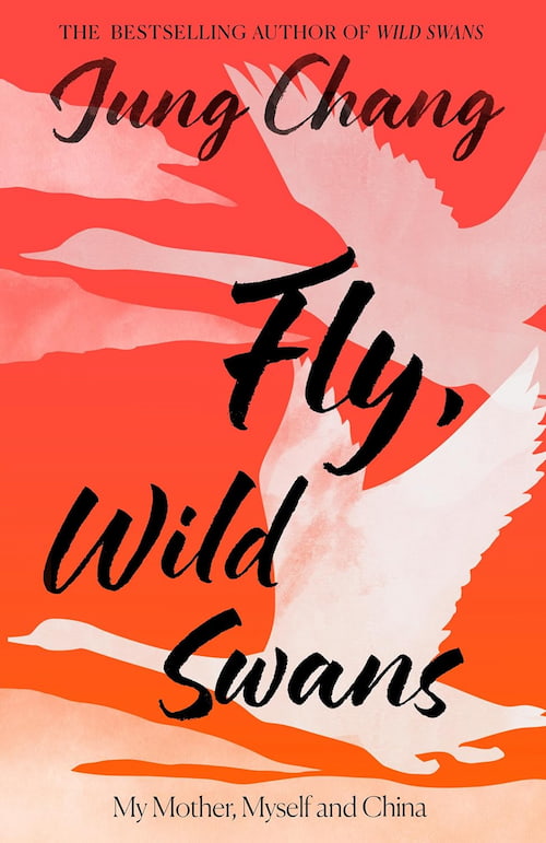 Book cover of Fly, Wild Swans