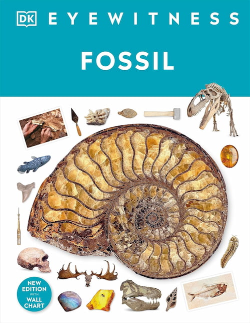 Book cover of Fossil