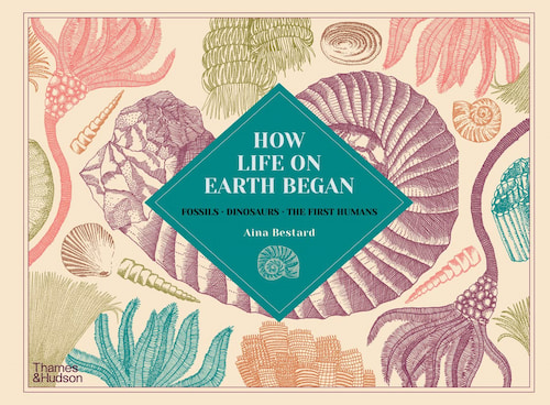 Book cover of How Life on Earth Began