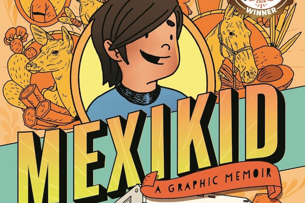 KS3: Graphic Novels