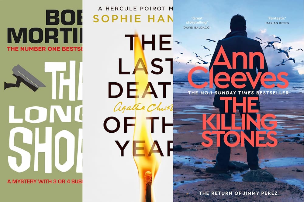 New fiction books for October 2025