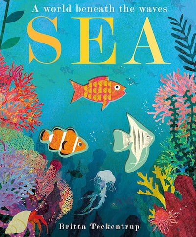 Book cover of Sea