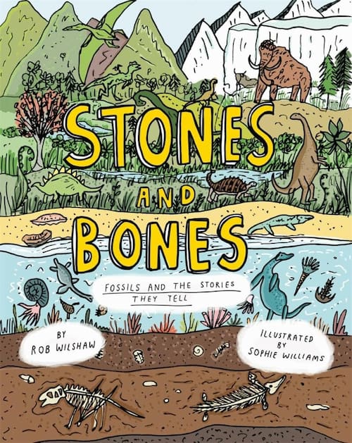 Book cover of Stones and Bones