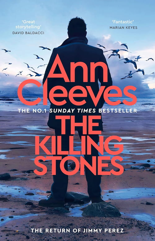 Book cover of The Killing Stones