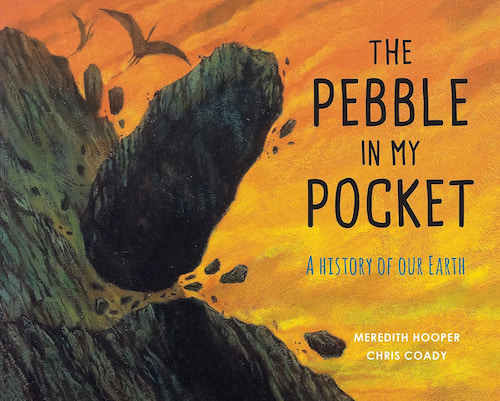 Book cover of The Pebble in My Pocket