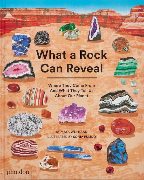 Book cover of What a Rock Can Reveal