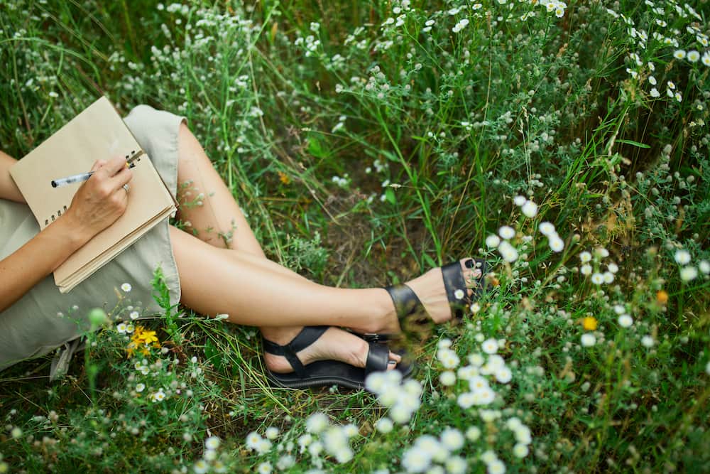 Woman writing in a book sat in a field stock resize A woman sat in a meadow writing poetry in a notebook
