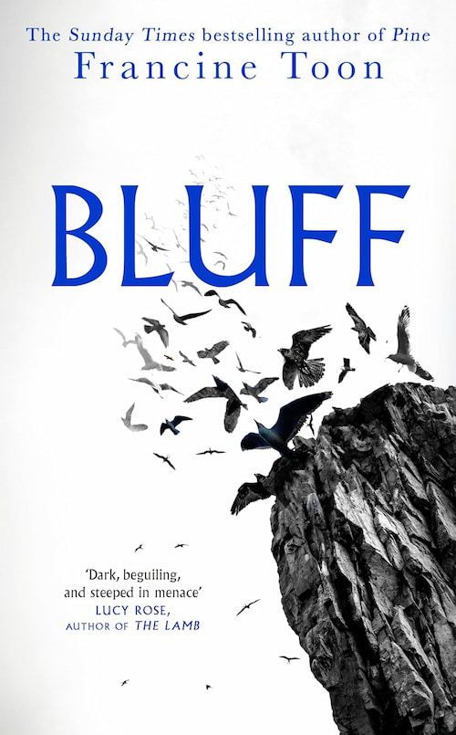 Bluff Book cover of Bluff