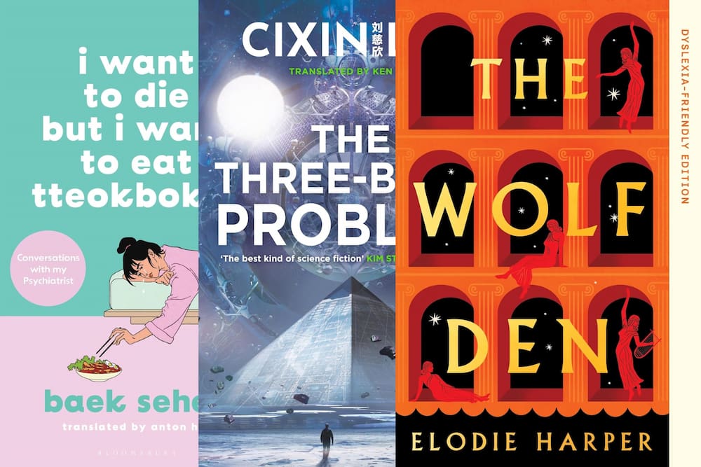 Dyslexia-friendly adult books for November 2025