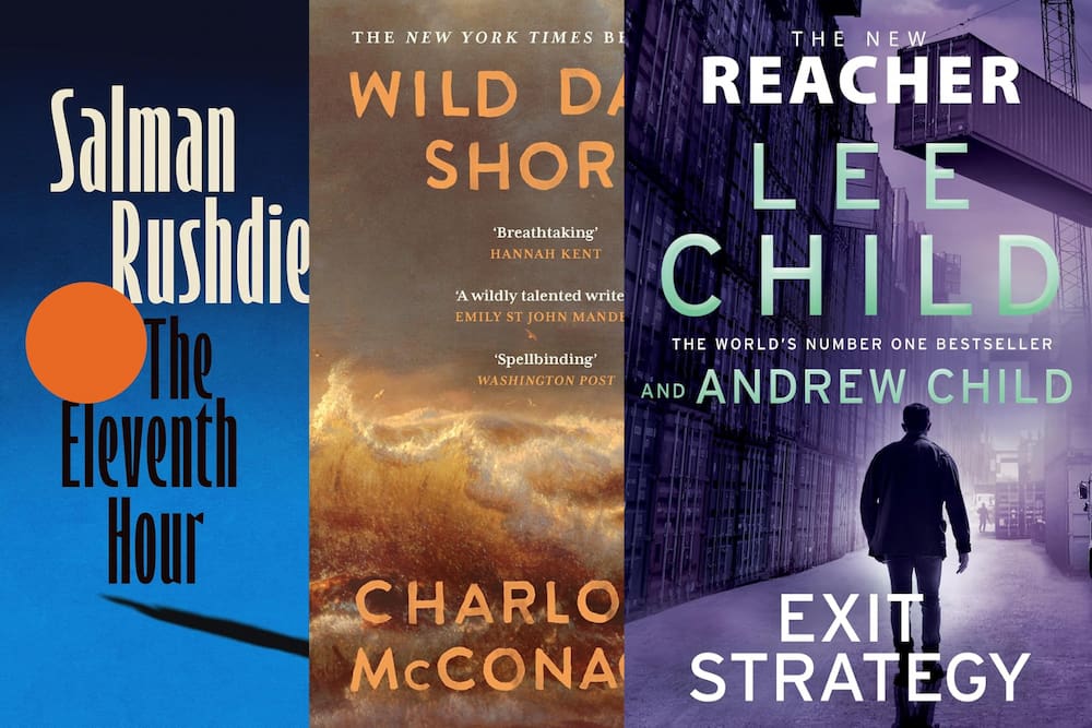 New fiction books for November 2025