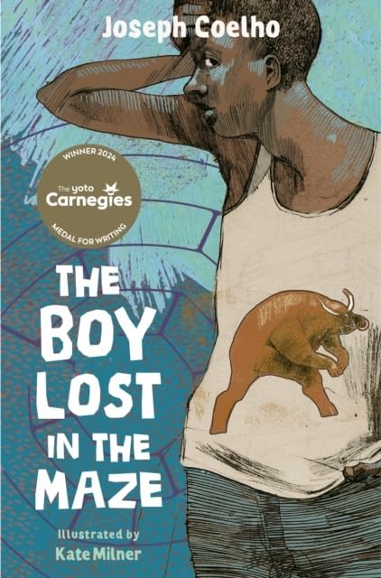 Book cover of The Boy Lost in the Maze