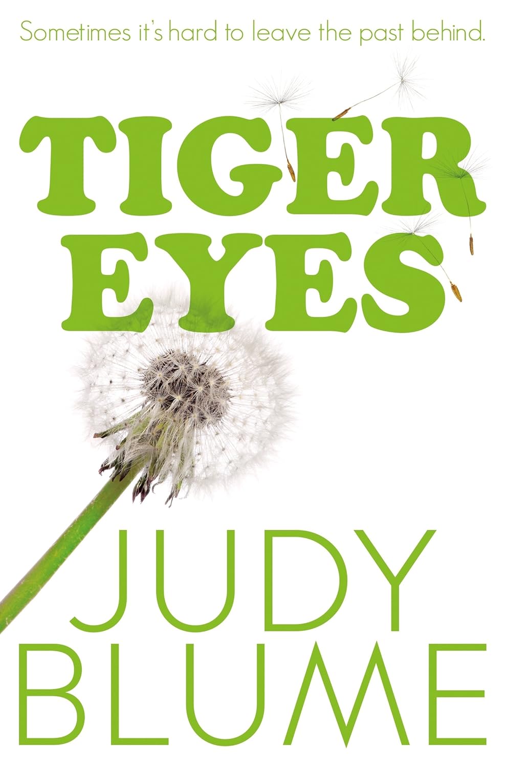 Book cover of Tiger Eyes