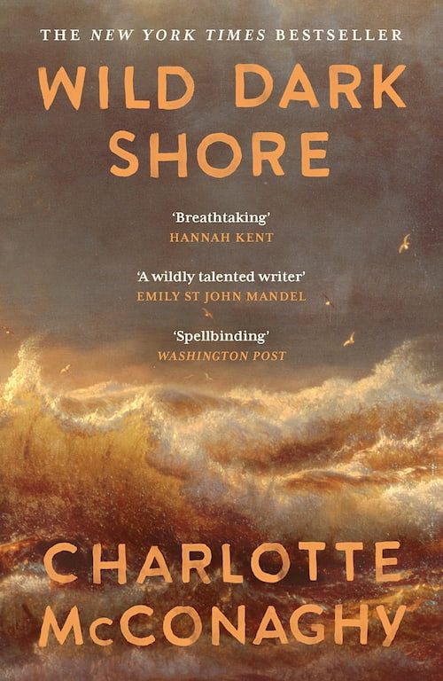 Wild Dark Shore Book cover of Wild Dark Shore