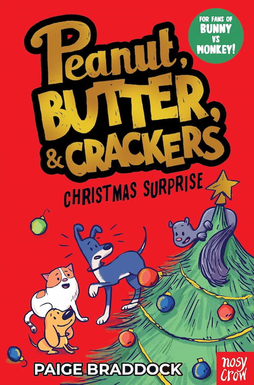 Book cover of Christmas Surprise