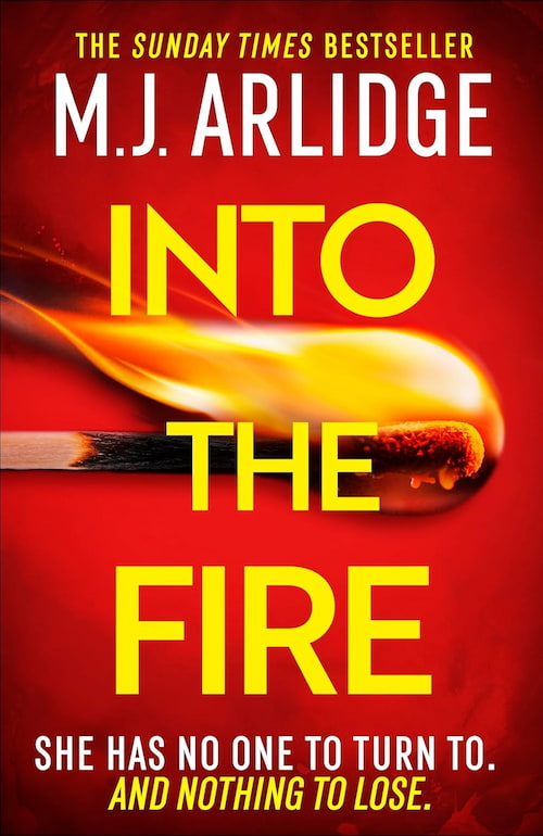 Book cover of Into the Fire