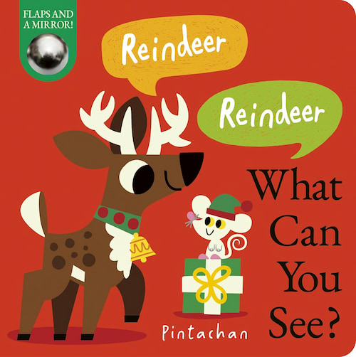 Book cover of Reindeer Reindeer What Can You See