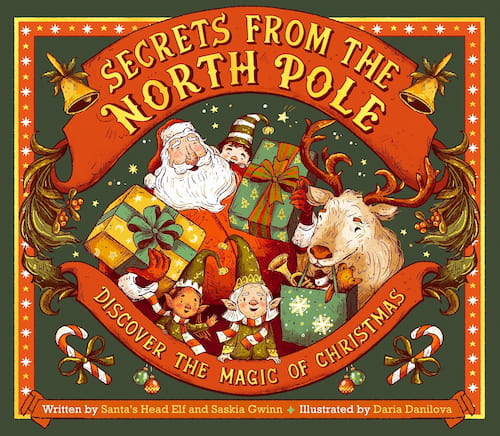 Book cover of Secrets From the North Pole