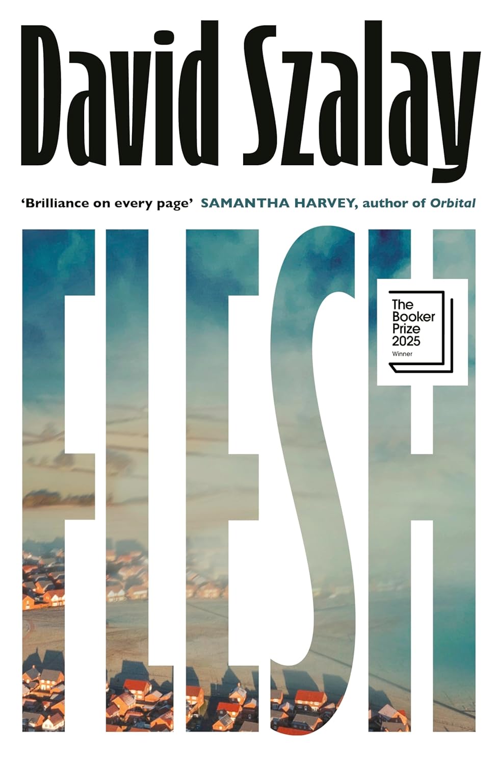 Book cover of Flesh