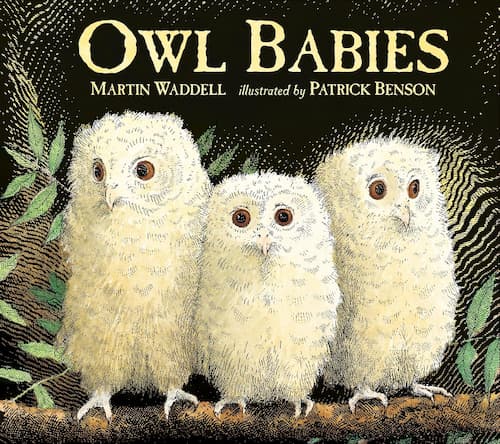 Book cover of Owl Babies