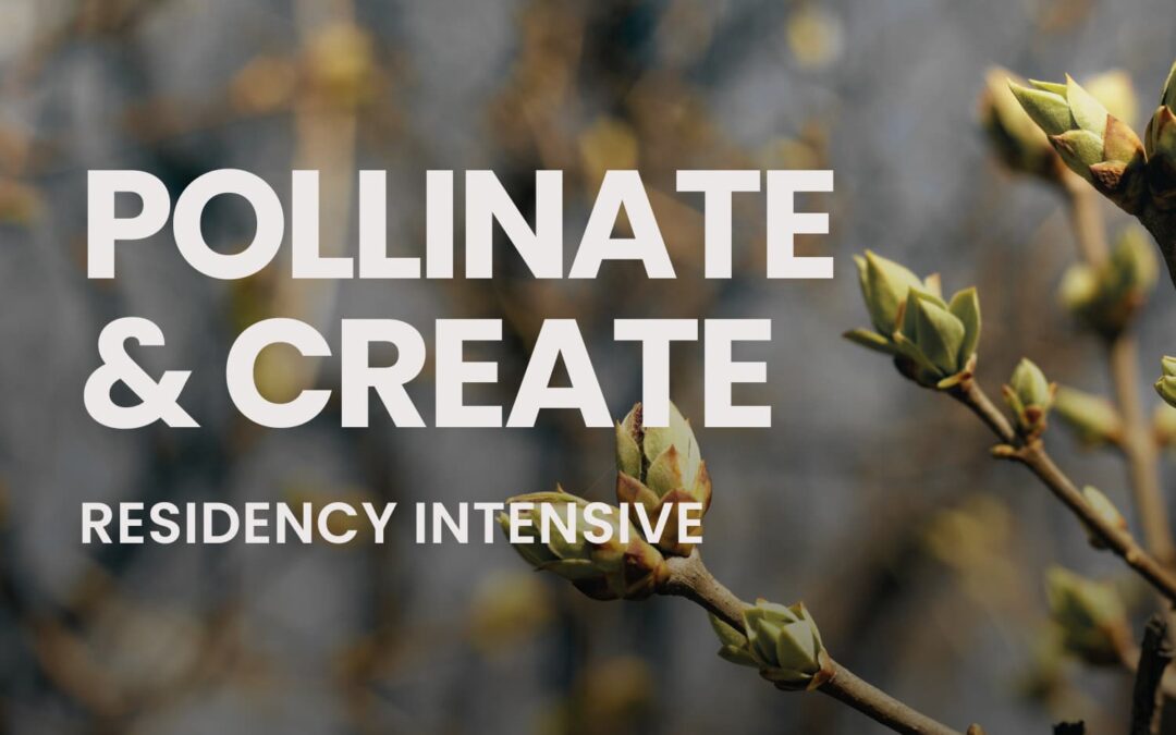 Pollinate & Create: a new arts residency with Suffolk Community Libraries