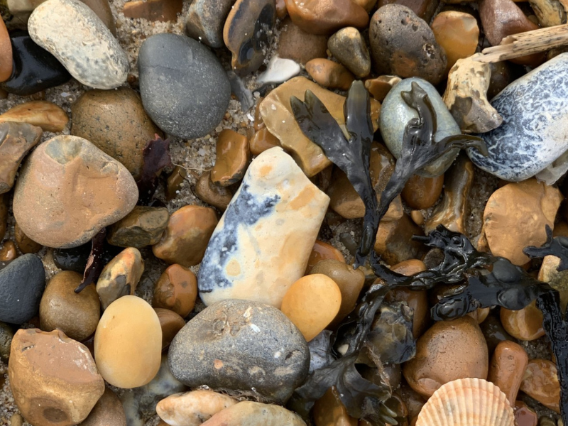 Wandering, Wondering: A Walk in Felixstowe by Our Wild Pages Residency Writer Aruna Stannard