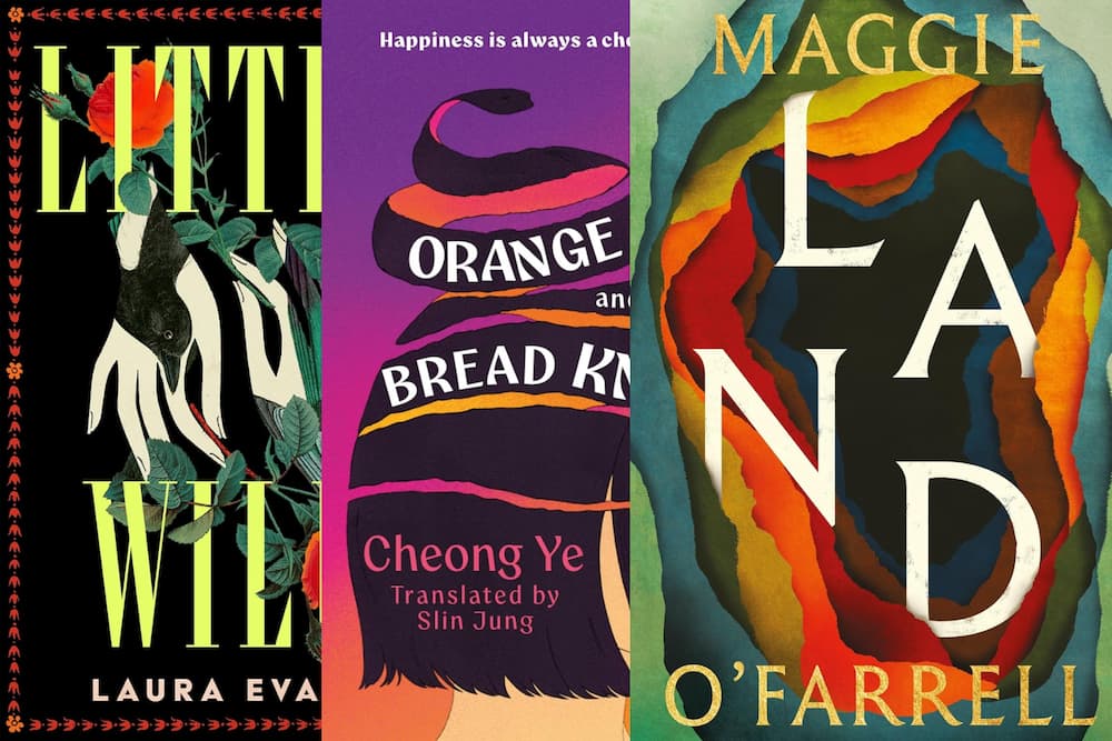 New fiction books for June 2026